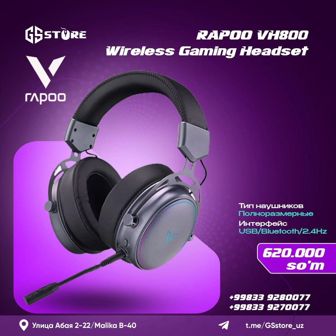 RAPOO VH800