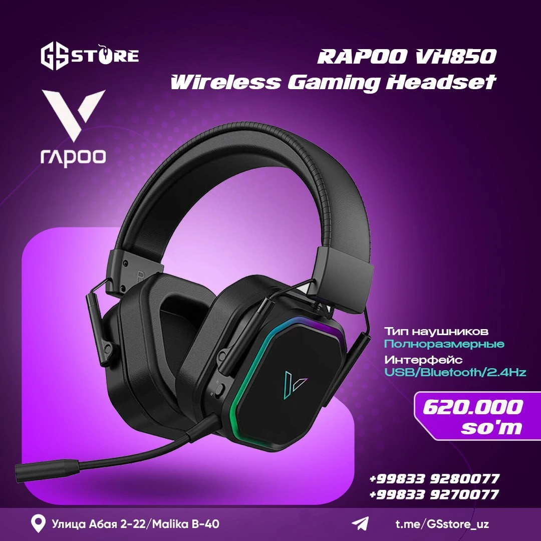 RAPOO VH800