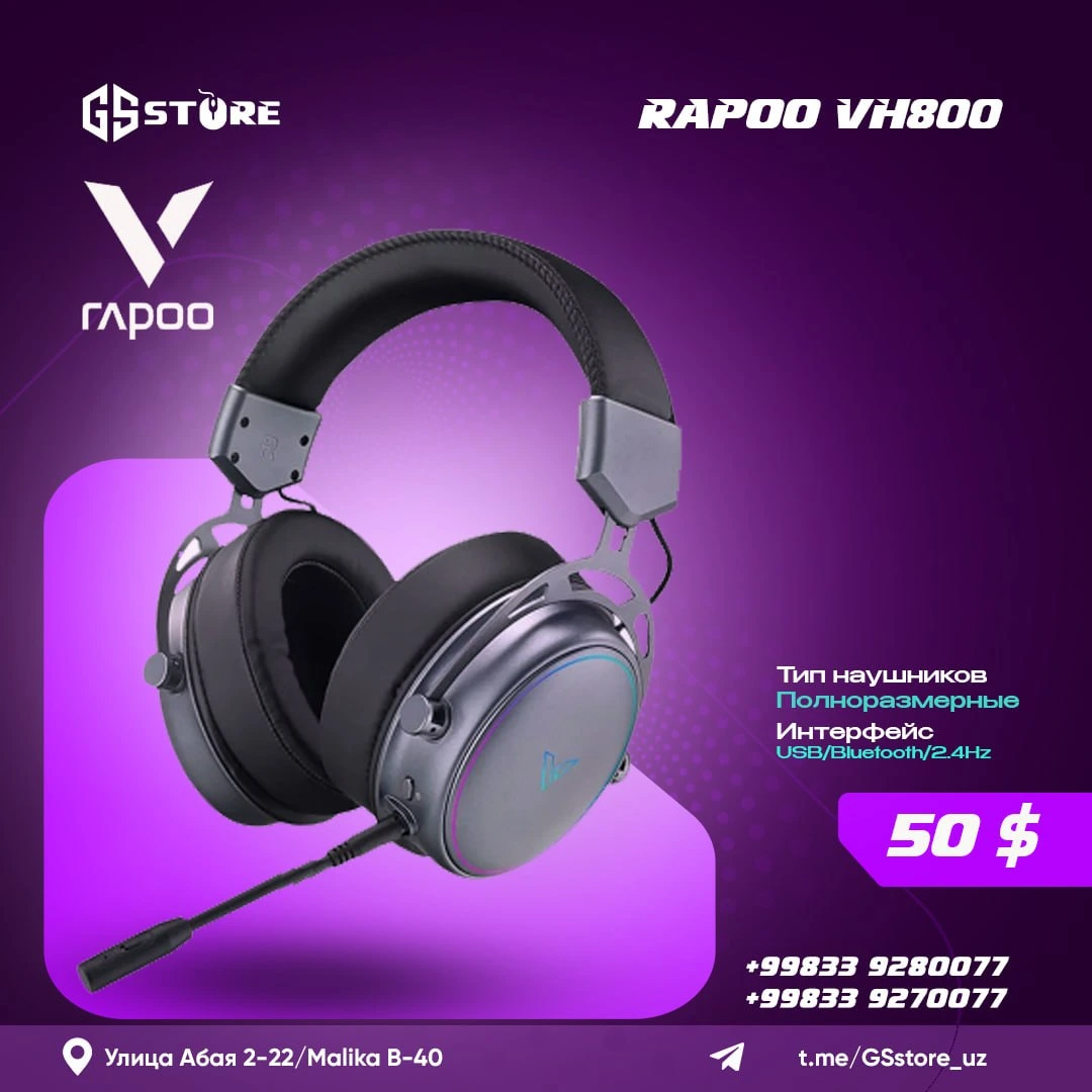 RAPOO VH800
