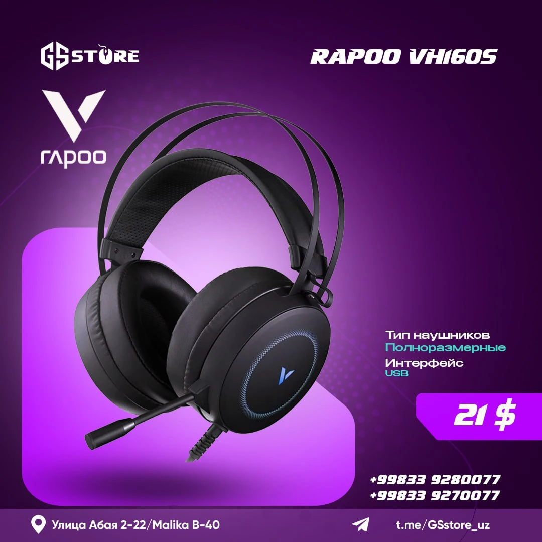 RAPOO VH160S
