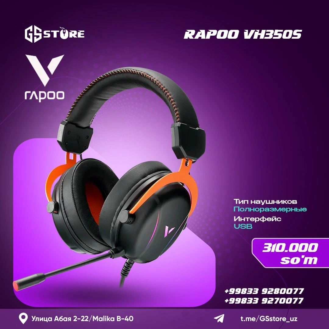 RAPOO VH300S