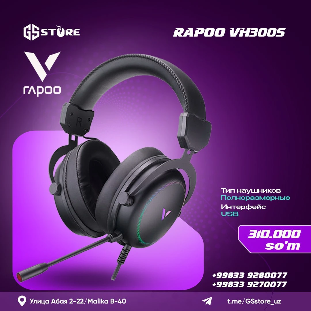 RAPOO VH300S