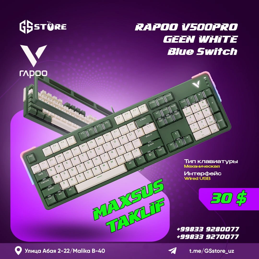 RAPOO V500PRO
