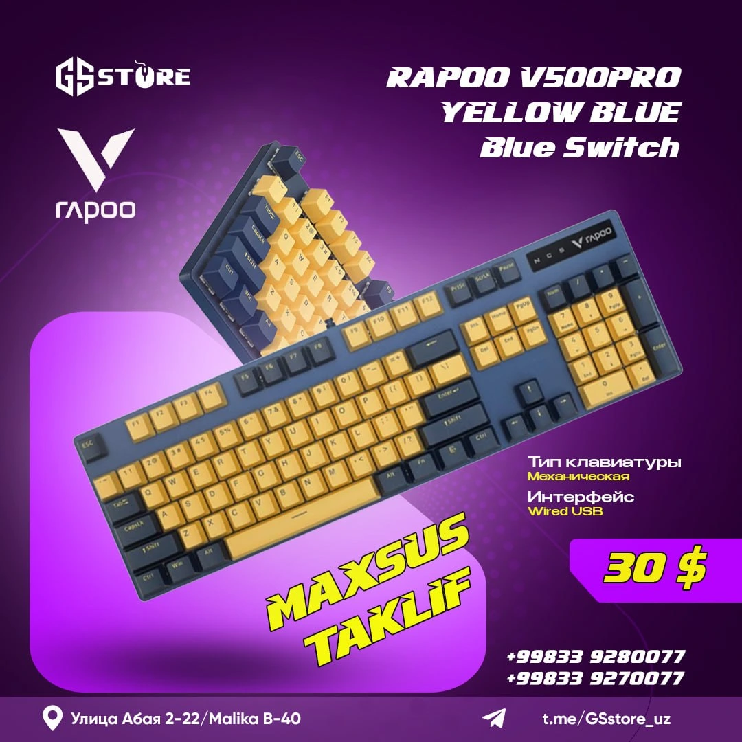 RAPOO V500PRO